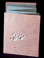 Pawprint