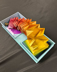 Snap to Grid book