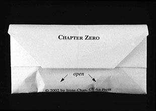 Chapter Zero book