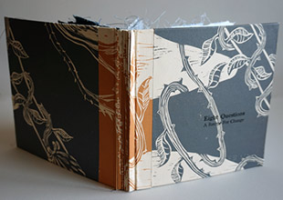 Eight Questions book