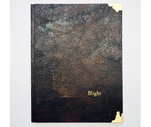 Blight book