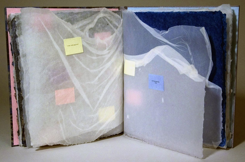 handmade artist books. The artist book, as a complex