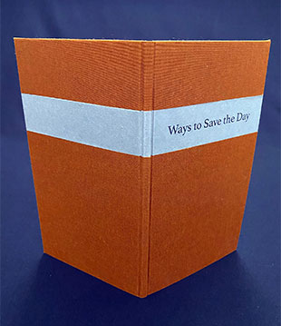 Ways to Save the Day book
