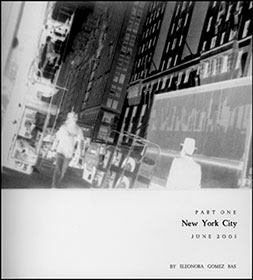 New York City and Paper & Book Intensive book