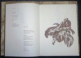 ark of Stars book