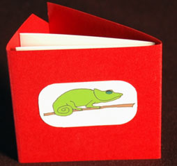 Chameleon book
