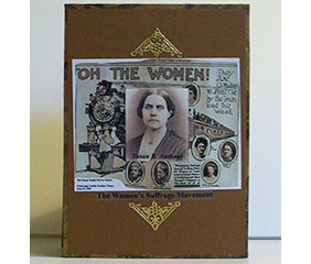 The Women's Suffrage Movement book