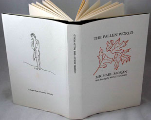 The Fallen World book