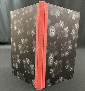 Empty Throne book