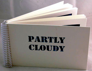 Partly Cloudy book