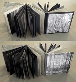 Glaze: Reveal and Veiled book