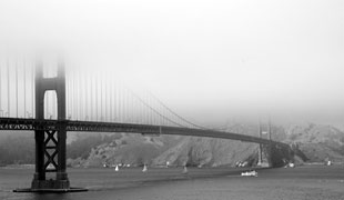 Golden Gate Fog book