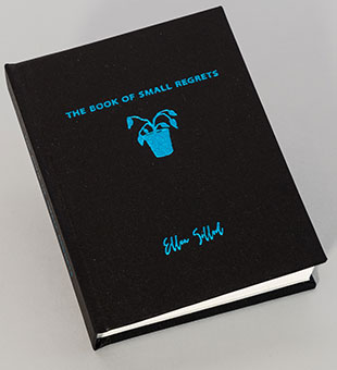 The Book of Small Regrets book