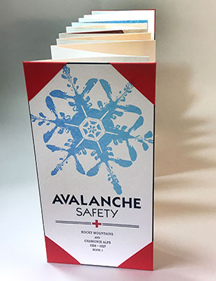Avalanche Safety book