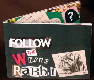 Follow the White Rabbit book