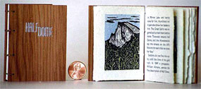 Half Dome book