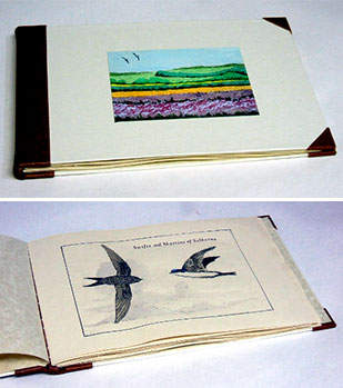 Swifts and Martins of Selborne book