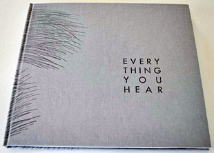 Everything you hear book