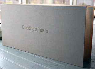 Buddha's Tears book